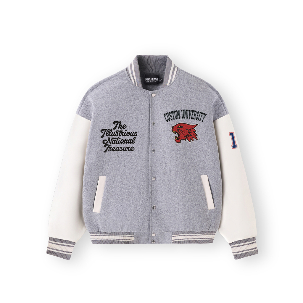 Custom Embroidered Varsity Jacket – Personalized College University Jacket, Graduation Mascot Sweatshirt ESD993.C.DT