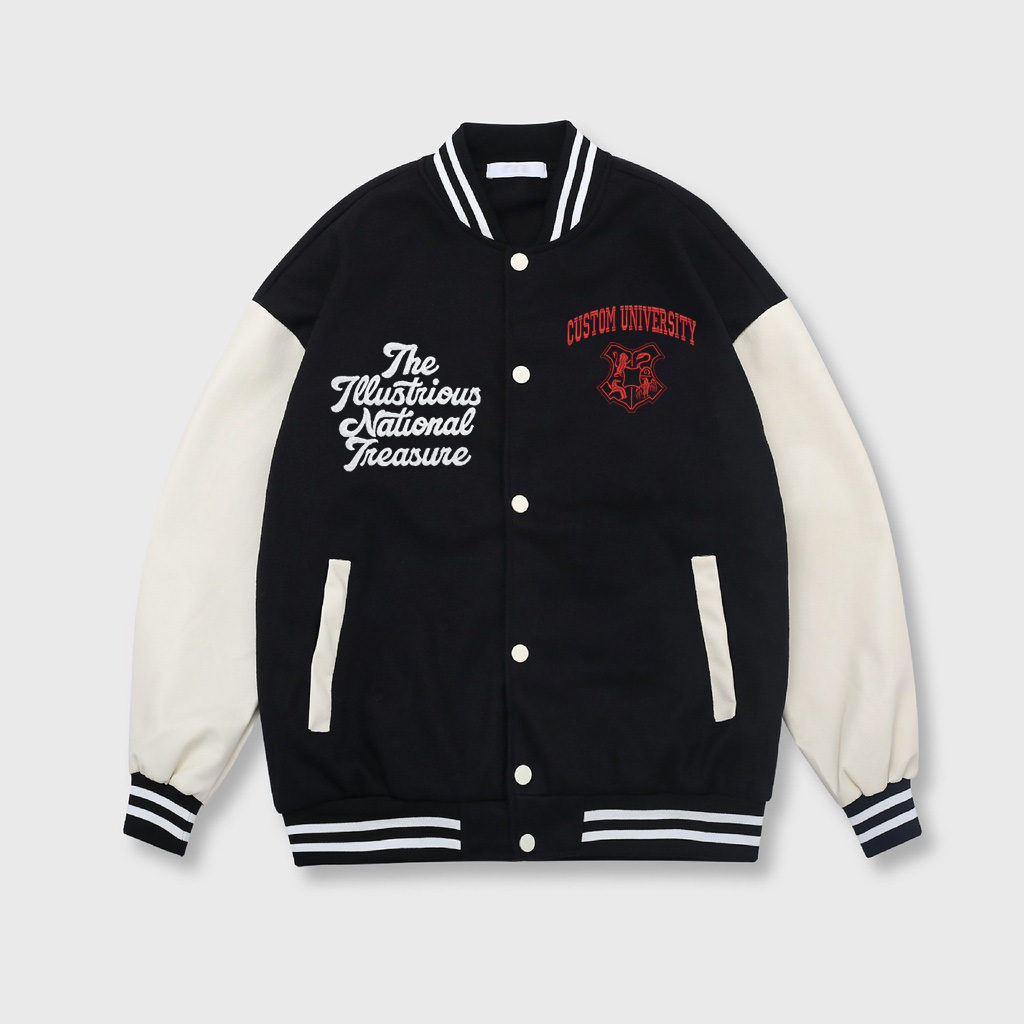 Custom Embroidered Varsity Jacket – Personalized College University Jacket, Graduation Mascot Sweatshirt ESD993.C.DT