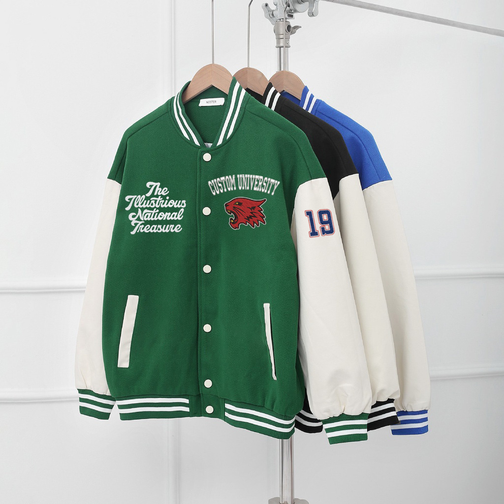 Custom Embroidered Varsity Jacket – Personalized College University Jacket, Graduation Mascot Sweatshirt ESD993.C.DT