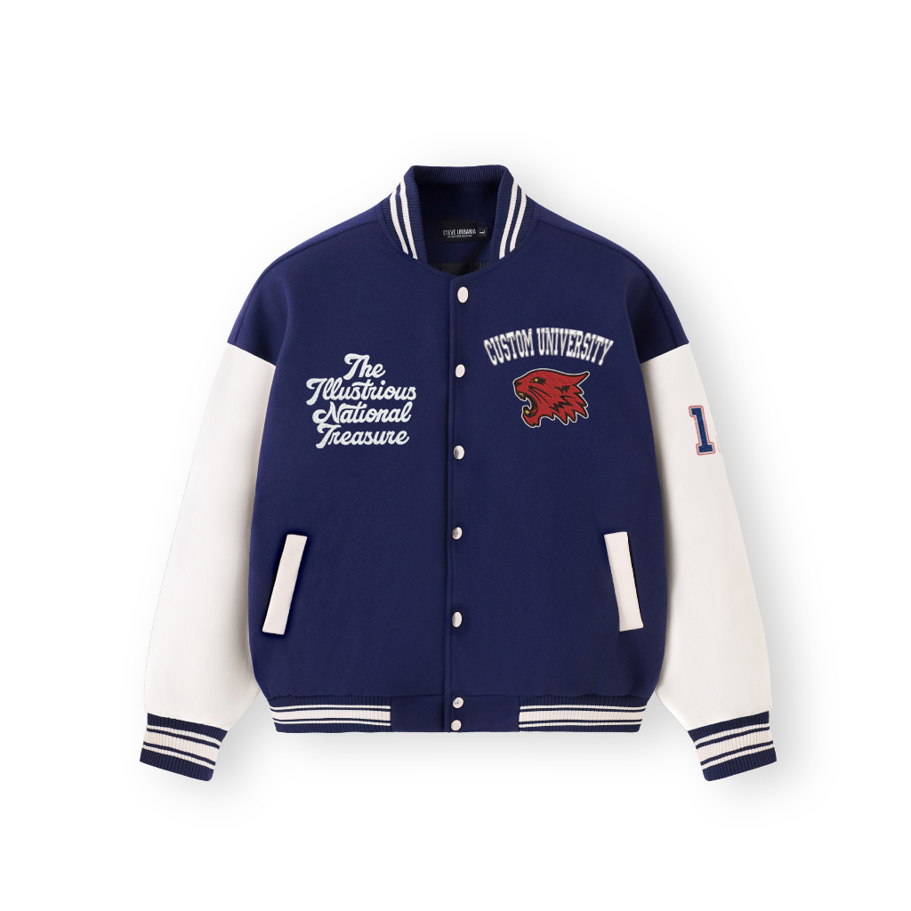 Custom Embroidered Varsity Jacket – Personalized College University Jacket, Graduation Mascot Sweatshirt ESD993.C.DT