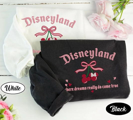 Embroidered Disneyland Sweatshirt, Gift For Fans