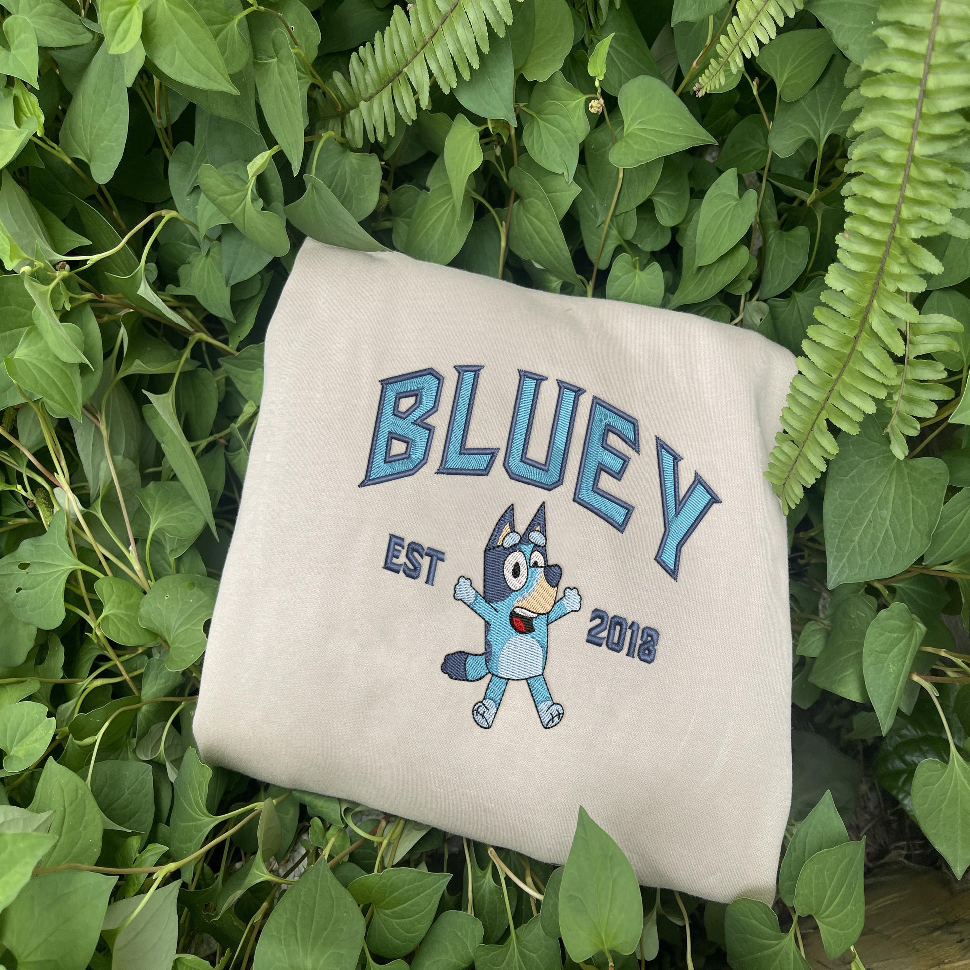 Bluey Family Embroidered Sweatshirt, EST 2018