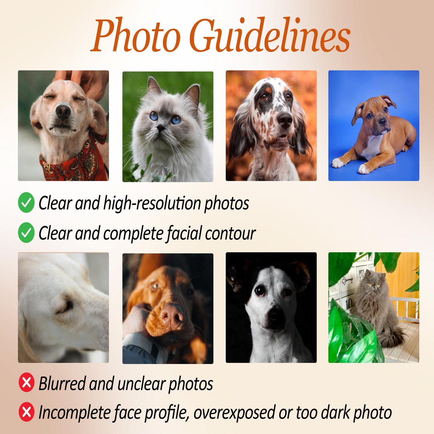 Photo Guidelines