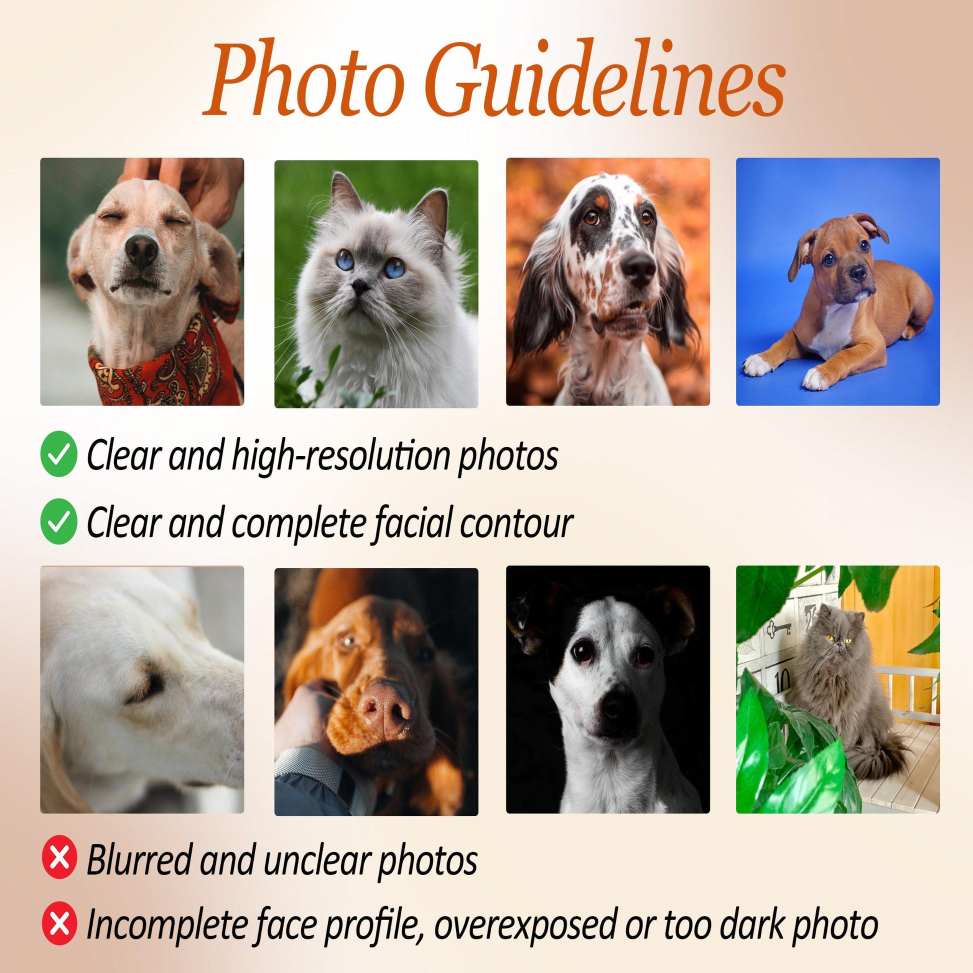 Photo Guidelines